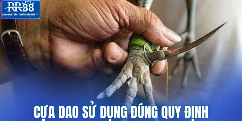 Cựa dao sử dụng đúng với quy định