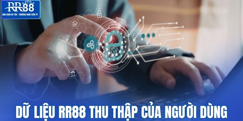 Dữ liệu RR88 thu thập của người dùng