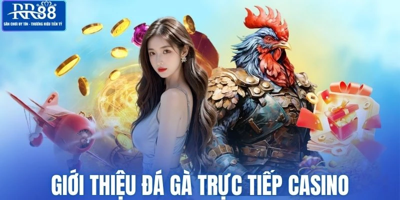 Giới thiệu về đá gà trực tiếp casino tại RR88