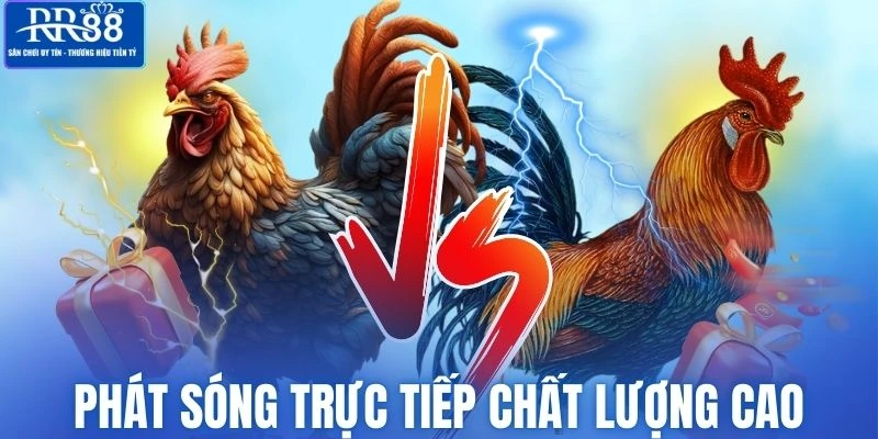 Hình ảnh trực tiếp với chất lượng đạt chuẩn