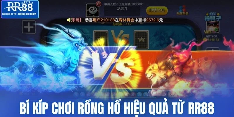 Kinh nghiệm chơi Rồng Hổ hiệu quả từ RR88