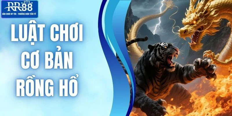 Luật Chơi Cơ Bản Rồng Hổ Tại RR88 Chi Tiết Cho Người Mới