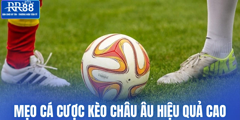 Mẹo cá cược kèo châu Âu hiệu quả cao