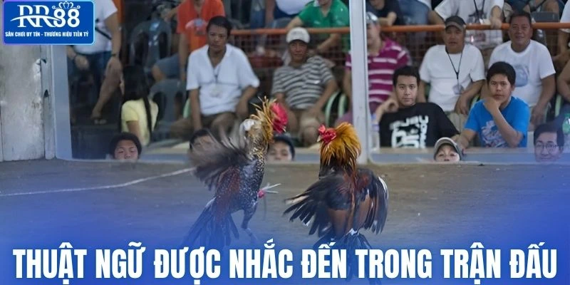 Nắm rõ một số khái niệm có trong trận đấu