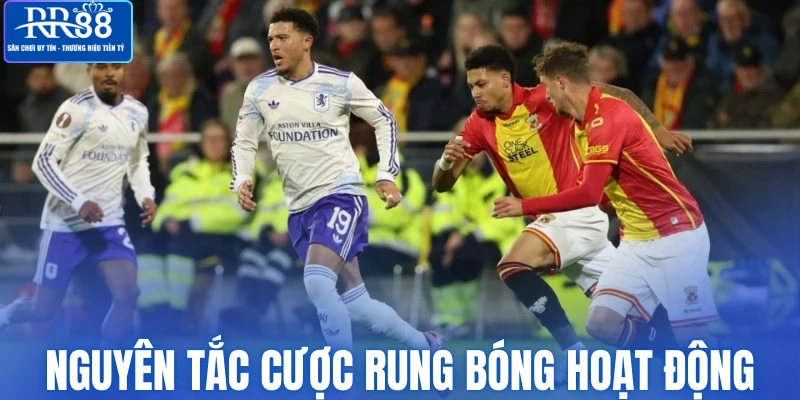 Nguyên tắc cược rung bóng hoạt động