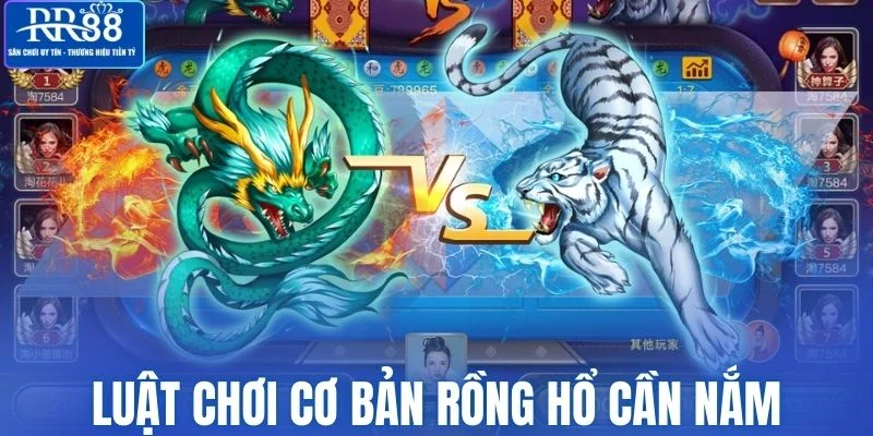 Quy trình cơ bản trong luật chơi cơ bản Rồng Hổ