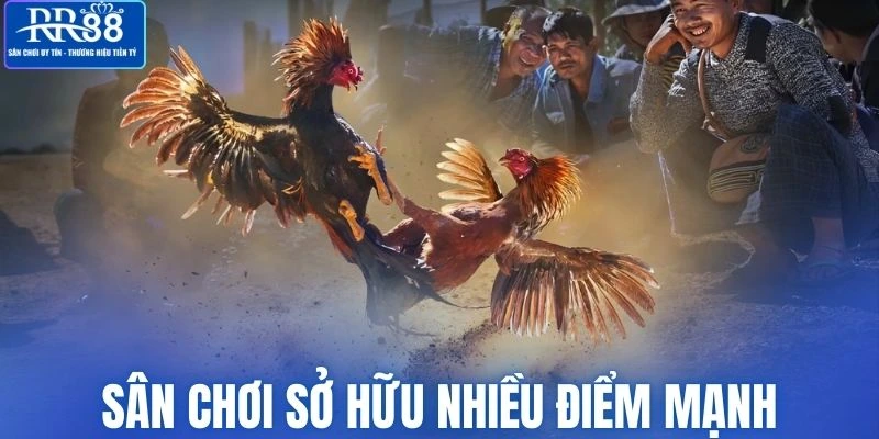 Sân chơi hội tụ đa dạng điểm mạnh tuyệt vời