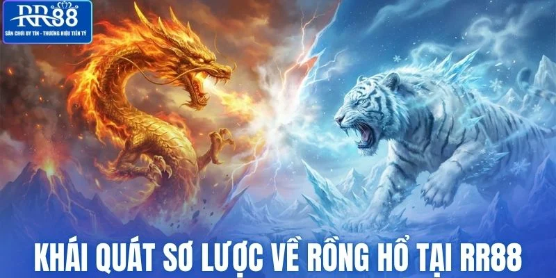 Tìm hiểu sơ lược về Rồng Hổ tại RR88