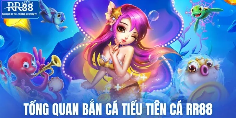 Tổng quan về bắn cá tiểu tiên cá tại RR88