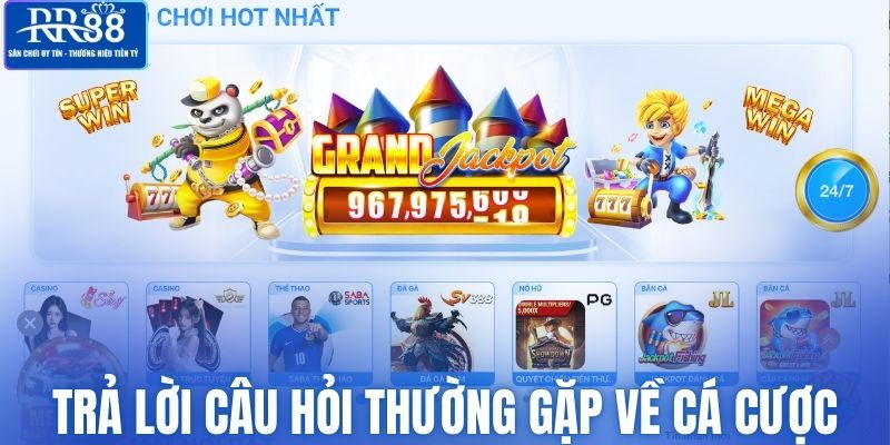 Trả lời câu hỏi thường gặp về cá cược tại RR88