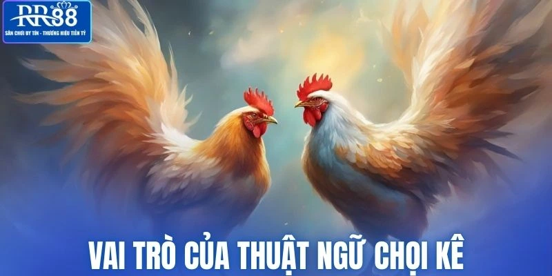 Việc hiểu rõ thuật ngữ chọi kê đóng vai trò quan trọng