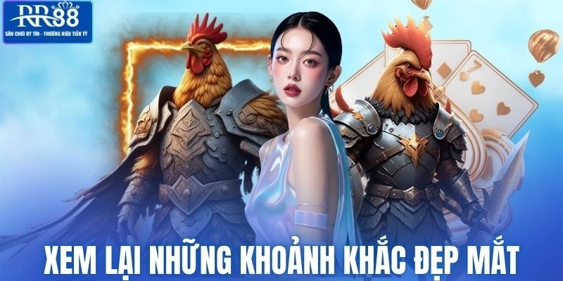 Xem lại những khoảnh khắc đẹp mắt trong chọi kê